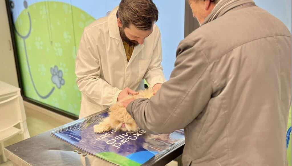 PAS VET nuovo ambulatorio veterinario della rete PAS al centro commerciale coop le piagge